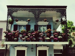 black-hephaestus:  dreamkatiedream: Back from New Orleans and I have a new found obsession with the balconies of the French Quarter. [x]  S’Wonderful. 