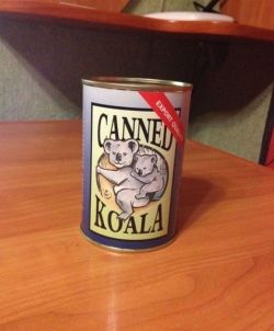 glitterpillz:  one-handsome-devil:  pr1nceshawn:What Canned Koala looks like…    I HAD A CANNED BEAR I GOT FROM CANADA AS A CHILD