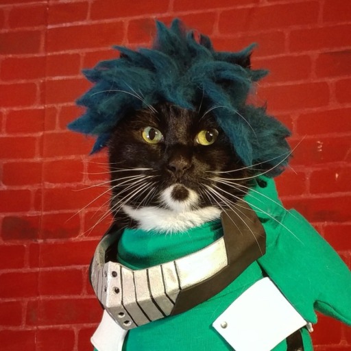cat-cosplay:  