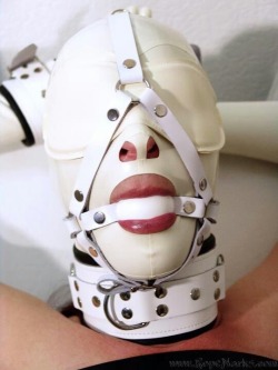 violethouseandrews:  I love this wonderfully coordinated set of hood, head harness, gag, collar and cuffs.  White makes a stylish change from black sometimes.