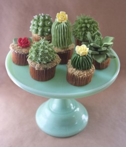 DIY: House Plant Cupcakes by Alana Jones Mann