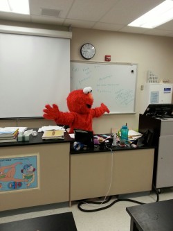 benedictbandersnatch:  My biology teacher dressed up as elmo for the last day because she’s retiring and seriously gives zero fucks I PROMISED HER SHE WOULD BE TUMBLR FAMOUS COME ON PEOPLE 