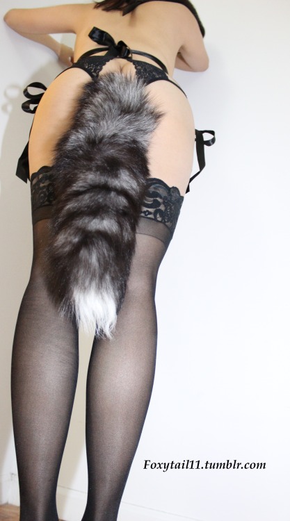 foxytail11:  My latest sexy petplay and tailplug outfit.  My foxtail sets www.foxytail11.tumblr.com 
