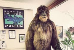 unexplained-events:  International Cryptozoology Museum The world’s only cryptozoology museum is located in Portland, Maine. Cryptozoology is the study of hidden animals and this museum shares items cryptozoologically collected, since 1960, by Loren