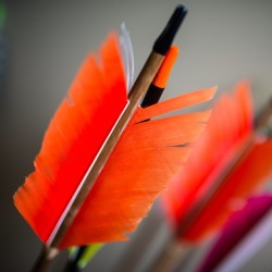 castrophony:  I’m an archer, though I am no Robin Hood. I’m also a fletcher; a person who makes arrows. I keep the broken and the failed attempts, I can’t throw them away, rather than that I put them in a large vase and keep them all in a place
