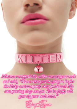 sissydollychristie: A Cappie Recap ~ Mistress’s Sissy Kitten You can see the full size here,https://sissykiss.com/image/mistresss-sissy-kitten/ Feel free to share any of my captions anywhere! 