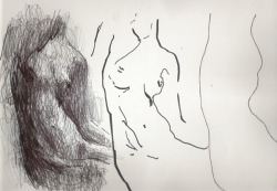 occupt:  Nude Study 