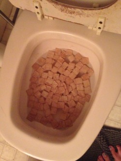 yungkawaiiinigga:  unclefather:  buttewithoutthee:  unclefather:  my mom: sierra you’re in trouble me: why mom: there is cereal in the toilet  Shit boy, niggas is wasting food for notes, shit is real out here, niggas is thirsty and mighty cut throat