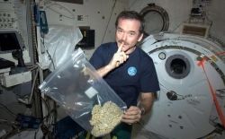 lgfuckeduad:  buddh1sm:  thatsgoodweed:  Nothing is illegal in space   Seriously my favorite picture of all time  This is not the kind of thing I tend to reblog, but this is hilarious.