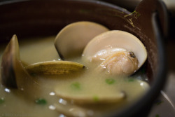 va103:  Asari Miso Soup (Miso Soup with Clams)