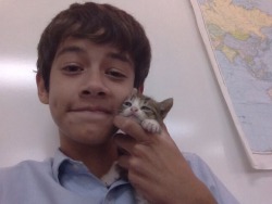 praetempto:  sniffing:  tAKING SELFIES FT. KITTENS DURING SCHOOL.  what school gives you kittens during class aND WHY AM I NOT ATTENDING THIS SCHOOL 