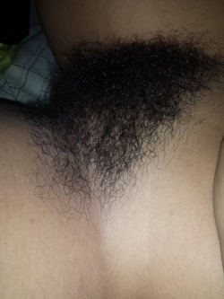 mybushywife429:  I love my wife hairy bush… 