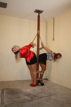 odelyslolvebondage:Sandra Silvers &amp; Brenda Bound, Strappado Secretaries! 14 photos;10:56 video #1369        With their legs tied to pole in the warehouse, secretaries Sandra &amp; Brenda wait for the thief to leave. Their tight blouses and skirts