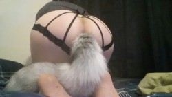 naughty-nerdy-pet:I haven’t worn my tail in ages…so here, have some low quality phone pictures of what I’m wearing while I watch Meet The Fockers.