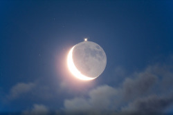 thesciencellama:  Jupiter Occultation Maurice Toet - July 15, 2012 