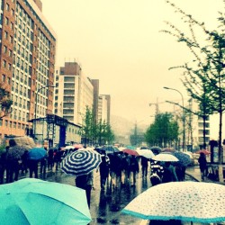 Rainy day in Dalian. #umbrellas #dalian #china #雨伞 #大连 #中国