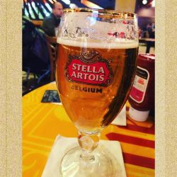 #goodmorning #stella #vegas #traveling #cheers #beer #whynot by maggiegreen