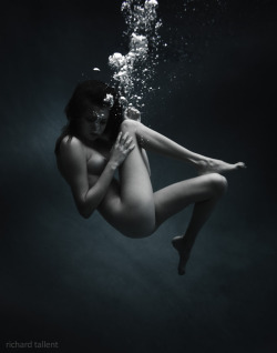 richardtallent:  9  Last batch from this shoot!  Reblogs to non-porn blogs welcome. Prints available (see the Source link).  Underwater shoots start again in May, but I will be looking for models for other projects until then!  Model 
