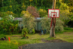 south-pacifica:  front yard, Tahiti by philippe