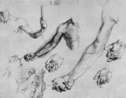 showslow:  Albrecht Dürer (21 May 1471