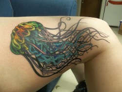 fuckyeahtattoos:  Jellyfish done at Alter Ego Tattoo and Body Piercing (Knoxville, TN) by Ashlee Underwood
