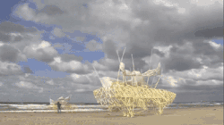 sallykie:  realmonstrosities:  rashaka:  hockpock:  qualiachameleon:  rocketumbl:  Theo Jansen  Strandbeest  Side note: These don’t have motors. They’re completely momentum/wind-powered and literally just wander around beaches unsupervised like giant