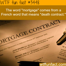 wtf-fun-factss:  The origin of the world “Mortgage” -  WTF fun facts