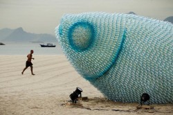 sixpenceee: As part of the UN Conference on Sustainable Development an enormous outdoor installation of fish was constructed using discarded plastic bottles on Botafogo beach in Brazil. 