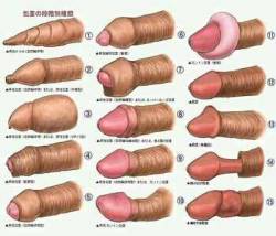 wet-farts-smell-the-same:  Chinese Dick Deformity  Ummmm wtf!?