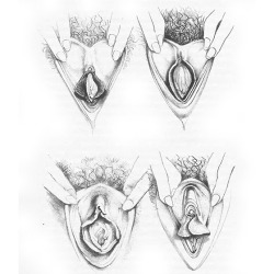 lyssamaxiscute: thatfreakchy:  VAGINAS LOOK DIFFERENT! This has been a PSA  I love it 