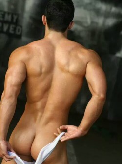 digger-one:  Great athletic body 