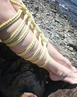 tieduptee:  Oceanside Shibari with my pretty yellow rope from @bdsmgeekshop ☀🌊⚓➰➰ 