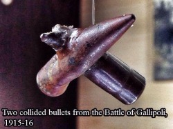 boss-of-the-plains:  Which bullet is better? The bullet that stopped the bullet from reaching its target by shooting the other bullet or the bullet that jumped in front of another bullet to keep it from reaching its target?Aaaaaannnndd GO!