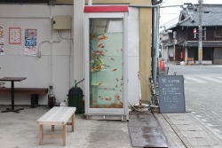 sleepyberry:telephone booth aquarium in Nara 