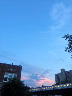 oracles:  8:36pm Bronx, New York 