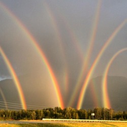 complicatedslut:  earthpictureshere:  Eight Rainbows! WOW Lehigh Valley, PA [960 x 960]  The gays are gathering   It looks like an Eldritch Abomination