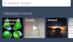 redlipstickstagemanager:  somesecretstoshare:  ered-jaeger:  silkkilumikko:  orlandobloom:  *a single tear falls down my face* FINLAND IS TRENDING  Now the entire world is going to know what kind of weird fucking losers we are reblogging for the picture