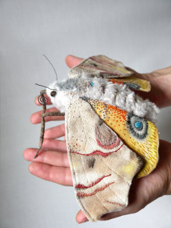moth-suicides:  Yumi Okita 