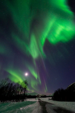 etherealvistas:  The arctic sky (Norway)