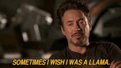 g0ne-blotto:  paintingtherosesredd:  you just gotta love this guy  if you dont love rdj there is something very wrong with you   YOU REALLY CAN&rsquo;T SPELL SUBTEXT WITHOUT BUTTSEX