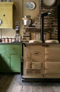 justbudfox:  michigantrad:  The perfect stove. (Memories of the