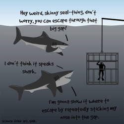 memecollection:  For more funny posts click HERE!  Shark week