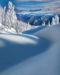 Visitheworld:  Mount Seymour Provincial Park In British Columbia, Canada (By Kevin