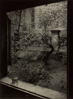 last-picture-show: Josef Sudek, The Window of my Studio - Spring in my Garden, Prague, 1954