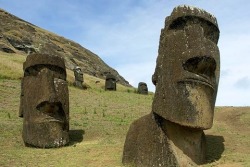 d0gteeth:  crimsonamethyst:  echoes-from-the-stars:  nyagao:  モアイ像の下を掘った結果ｗｗｗｗｗｗｗｗｗ    Easter Island Moai have Bodies  This just raises more questions than answers.  d0gteeth  omg. but what if they are coffins