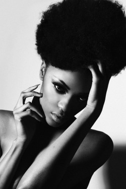 crystal-black-babes:  Tiara Young - American Black Models American Models | Most Popular Black Model Pictures 