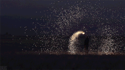 orbo-gifs:  Steel wool poi spinning larger version (gfycat 1280x720) 