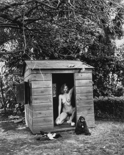 sir-j:  Domestic Nude 7 by Helmut Newton, LA, 1992