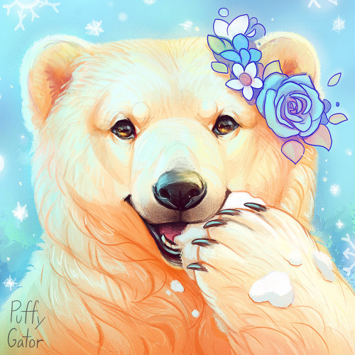 puffygator:Polar bear commission