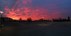 dangered:  After been studying all day at the library, I went out to admire this awesome sunset 